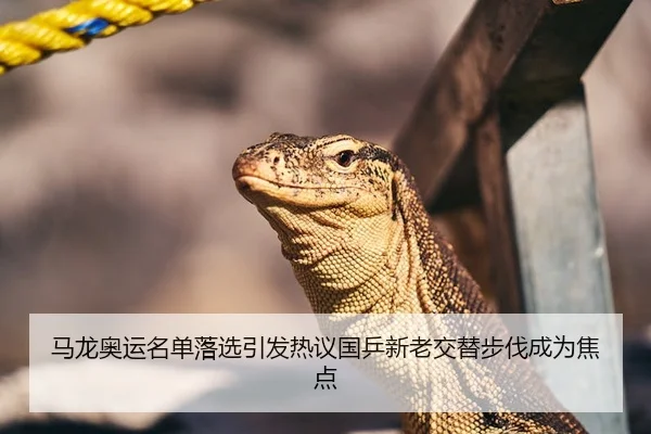 马龙奥运名单落选引发热议国乒新老交替步伐成为焦点