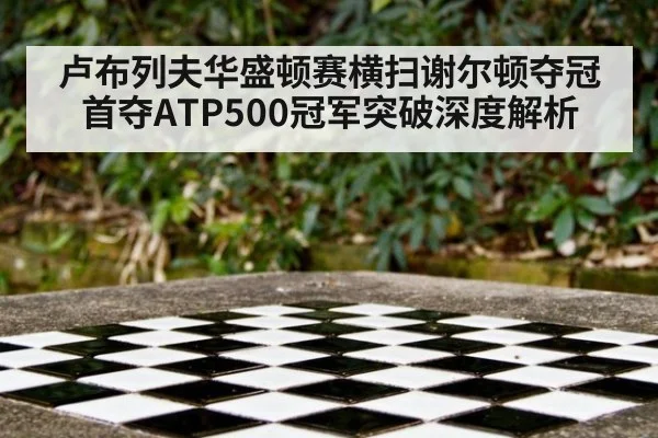 卢布列夫华盛顿赛横扫谢尔顿夺冠 首夺ATP500冠军突破深度解析